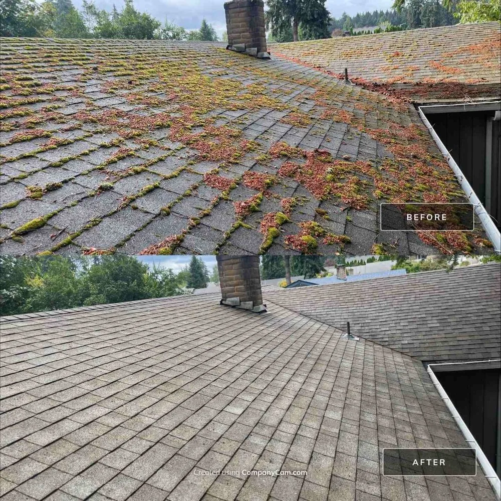 Roof surface before and after cleaning moss and debris around a chimney
