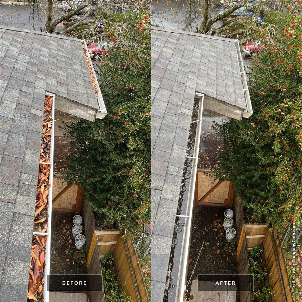 Residential gutter before and after leaves were removed