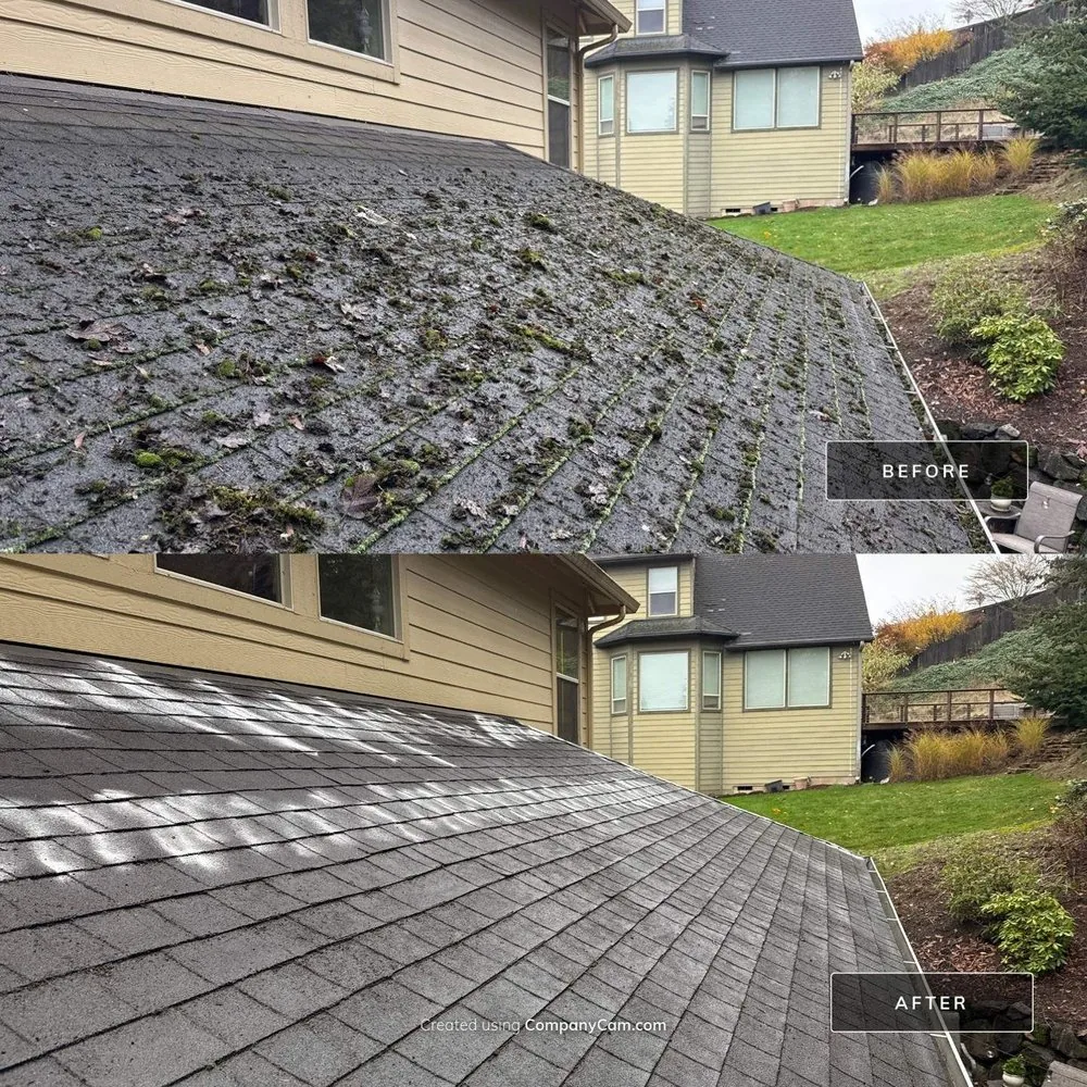 Low-slope shingle roof before and after heavy moss and organic buildup were removed