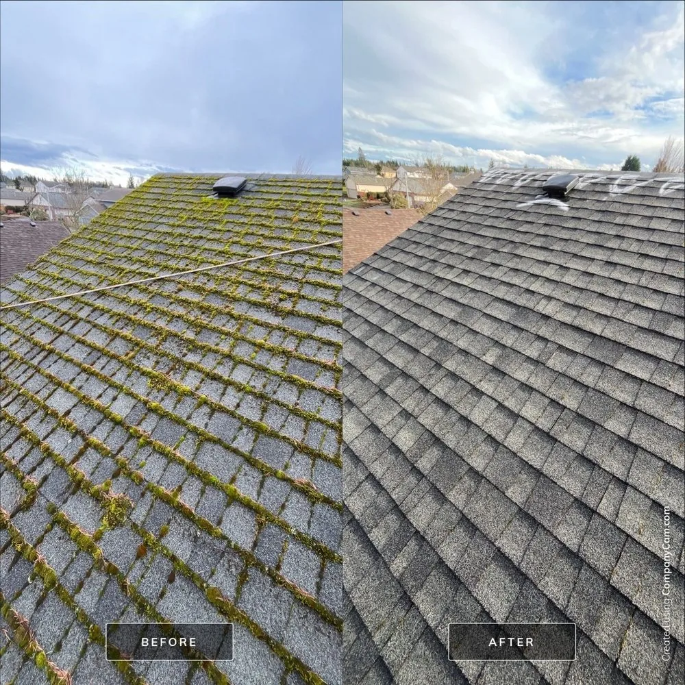 Asphalt shingle roof before and after moss removal