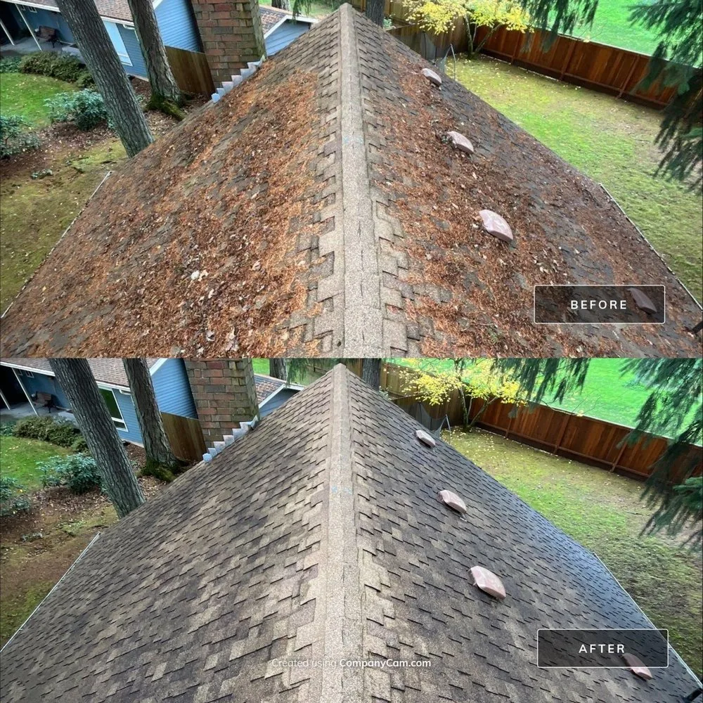 Asphalt shingle roof before and after loose debris was cleaned away
