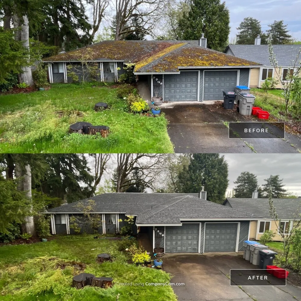 Residential roof maintenance result relevant to Coquitlam homeowners