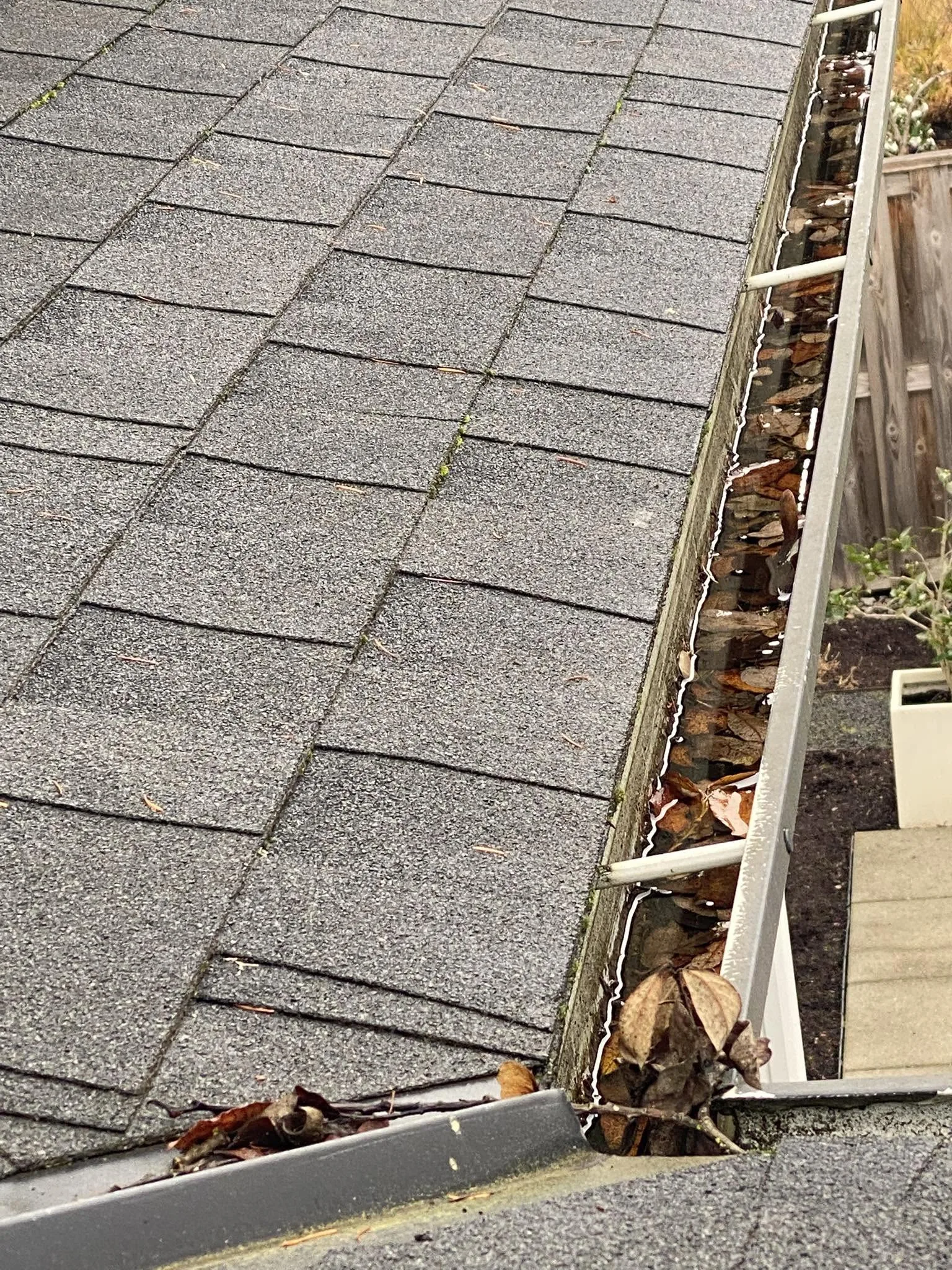 Leaves and standing water in a residential gutter before cleaning